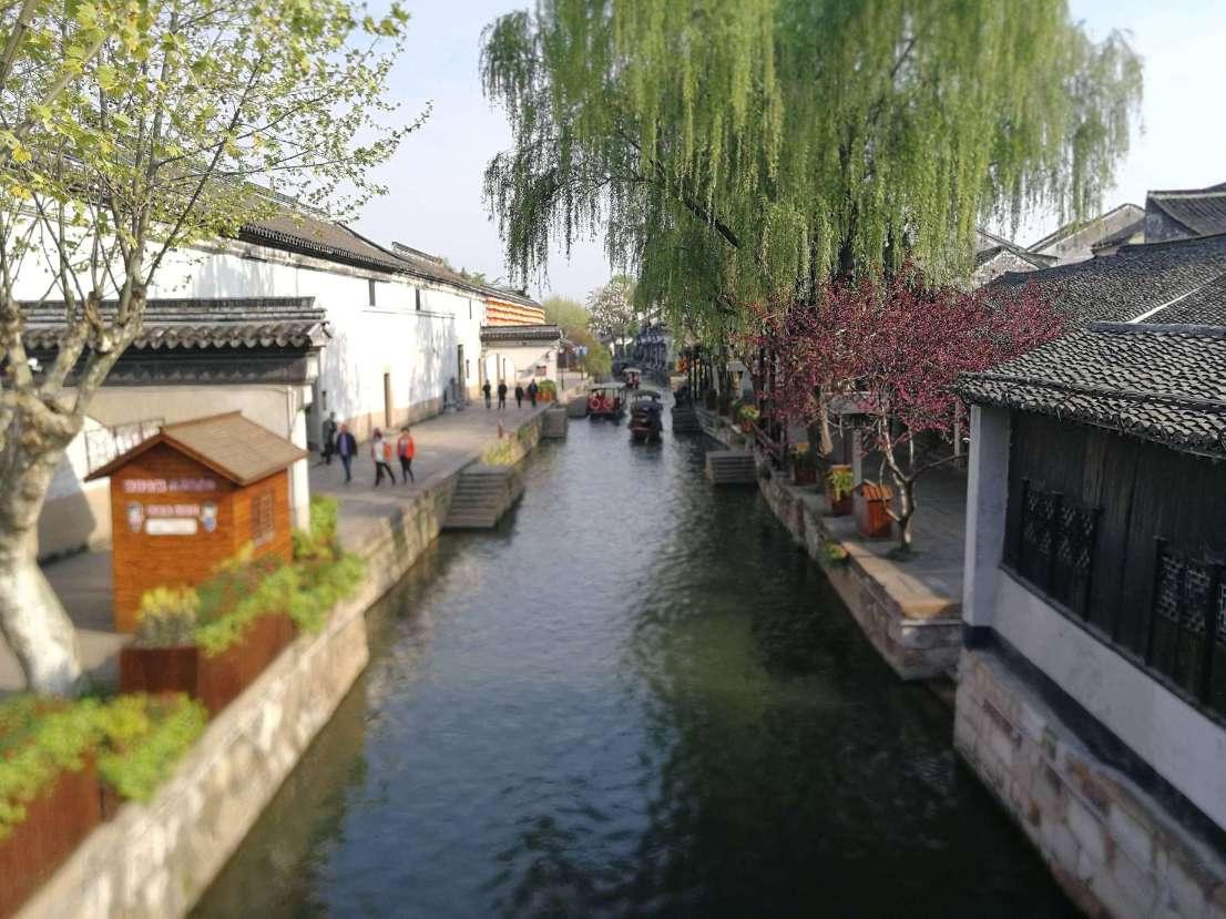 冷知识分享平台 – 发现惊人的章子怡将四度出任2022年戛纳电影节XR单元评委,她的影响力有多强?冷知识!